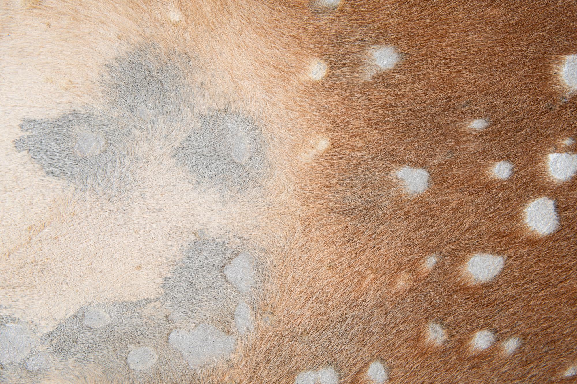 6' x 6' 4 Cowhide Leather Freeform Rug