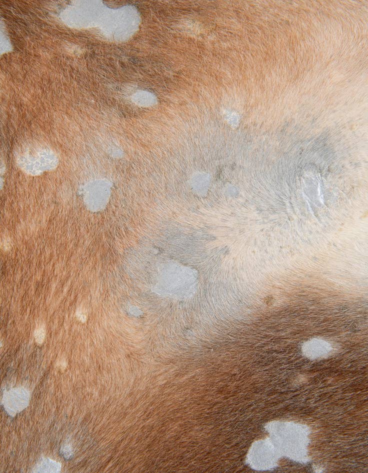 Detail image of 6' x 6' 4 Cowhide Leather Freeform Rug