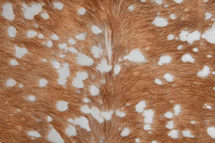 6' x 6' 4 Cowhide Leather Freeform Rug