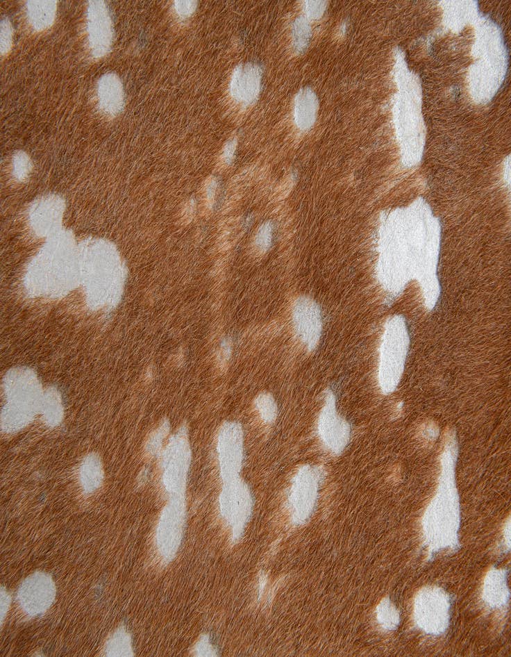 Detail image of 6' x 6' 4 Cowhide Leather Freeform Rug