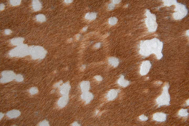 6' x 6' 4 Cowhide Leather Freeform Rug