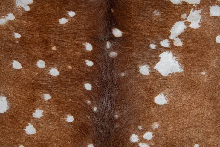 Detail image of 6' 3 x 6' 10 Cowhide Leather Freeform Rug