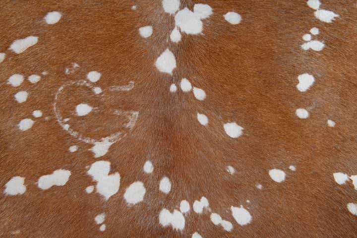 6' 3 x 6' 10 Cowhide Leather Freeform Rug
