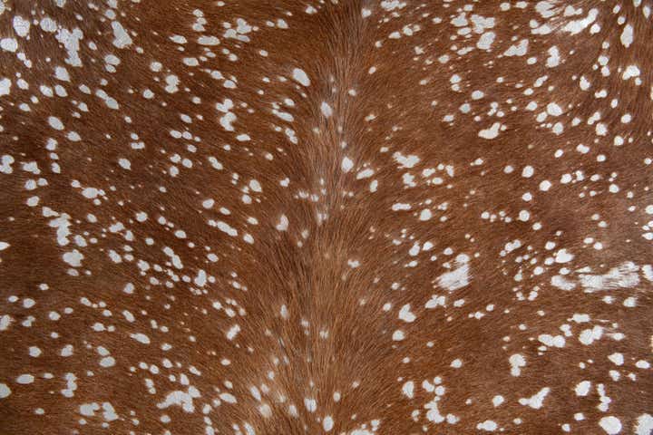 7' 2 x 7' 4 Cowhide Leather Freeform Rug