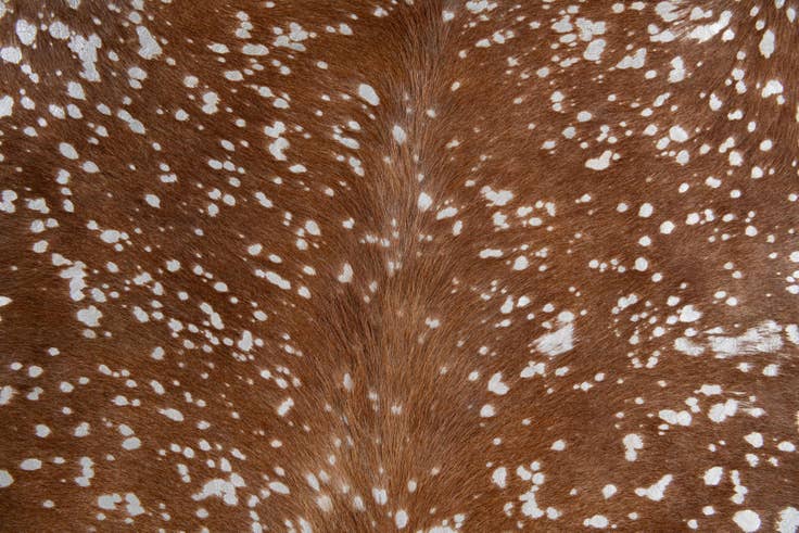 Detail image of 7' 2 x 7' 4 Cowhide Leather Freeform Rug