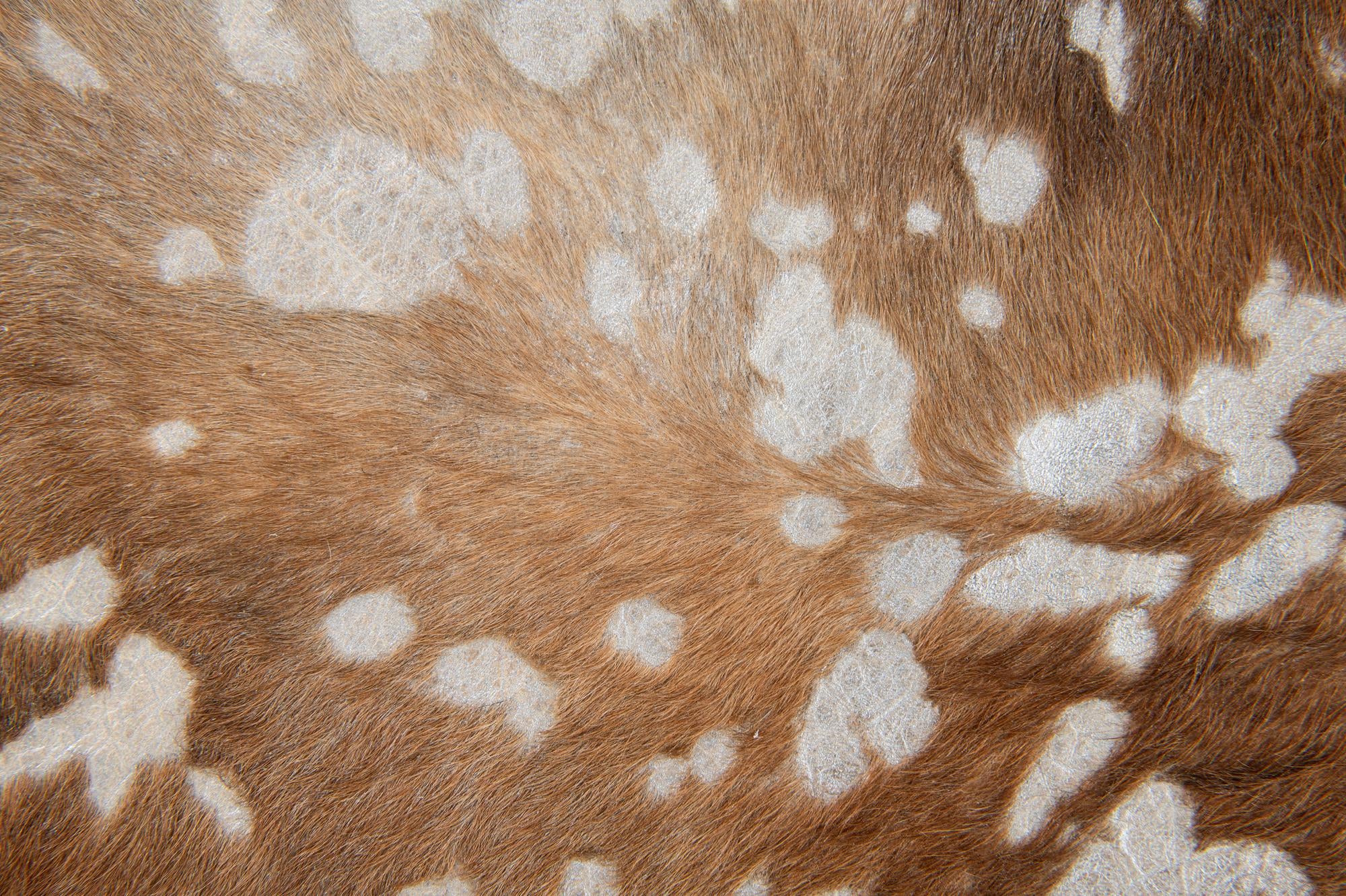 7' x 7' 6 Cowhide Leather Freeform Rug