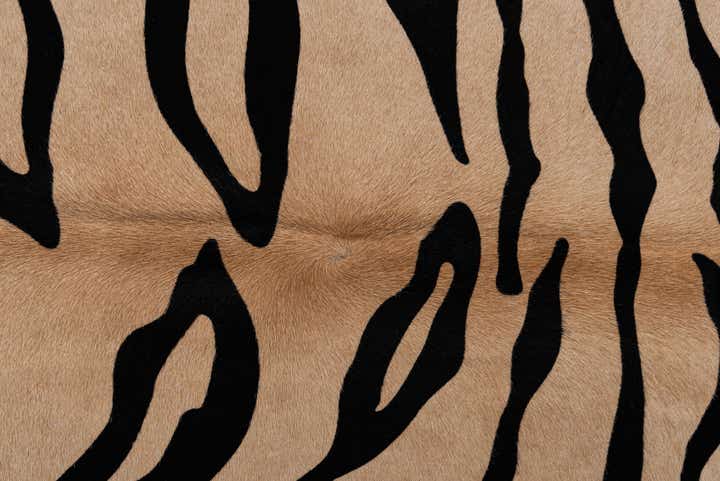 5' 7 x 6' 8 Cowhide Freeform Rug