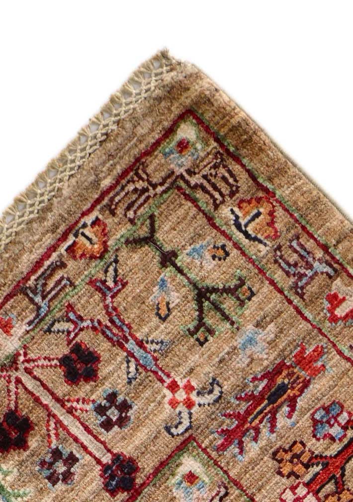 4' x 6' Hand Knotted Ariana Ziegler Rug