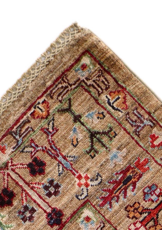 Detail image of 4' x 6' Hand Knotted Ariana Ziegler Rug