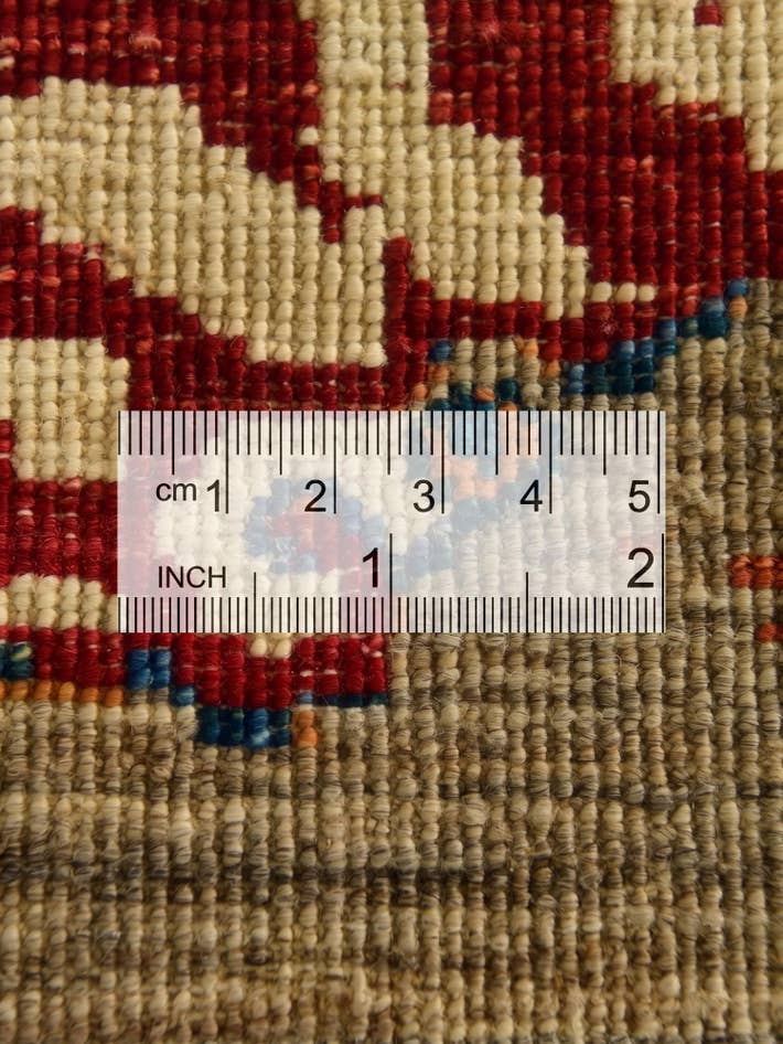 Detail image of 4' x 5' 11 Hand Knotted Ariana Ziegler Rug