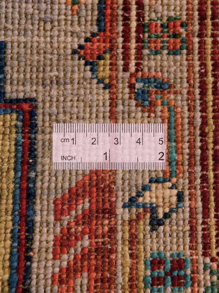 4' x 6' 4 Hand Knotted Ariana Ziegler Rug