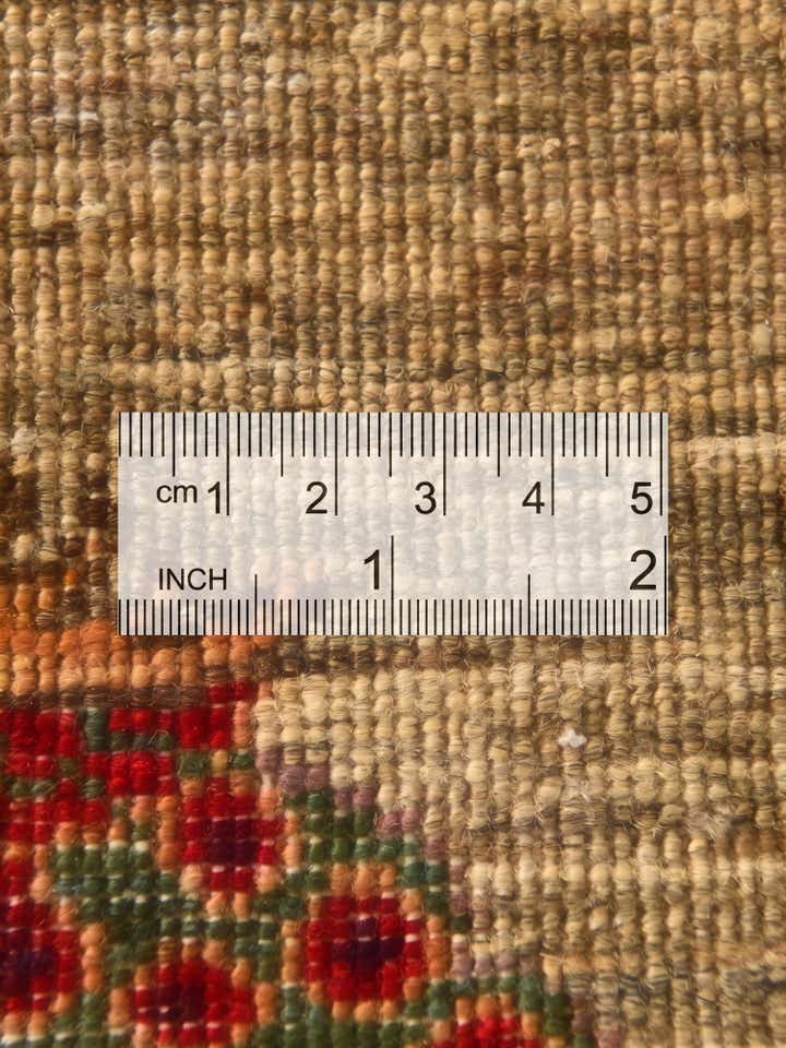 5' 1 x 6' 8 Hand Knotted Ariana Ziegler Rug