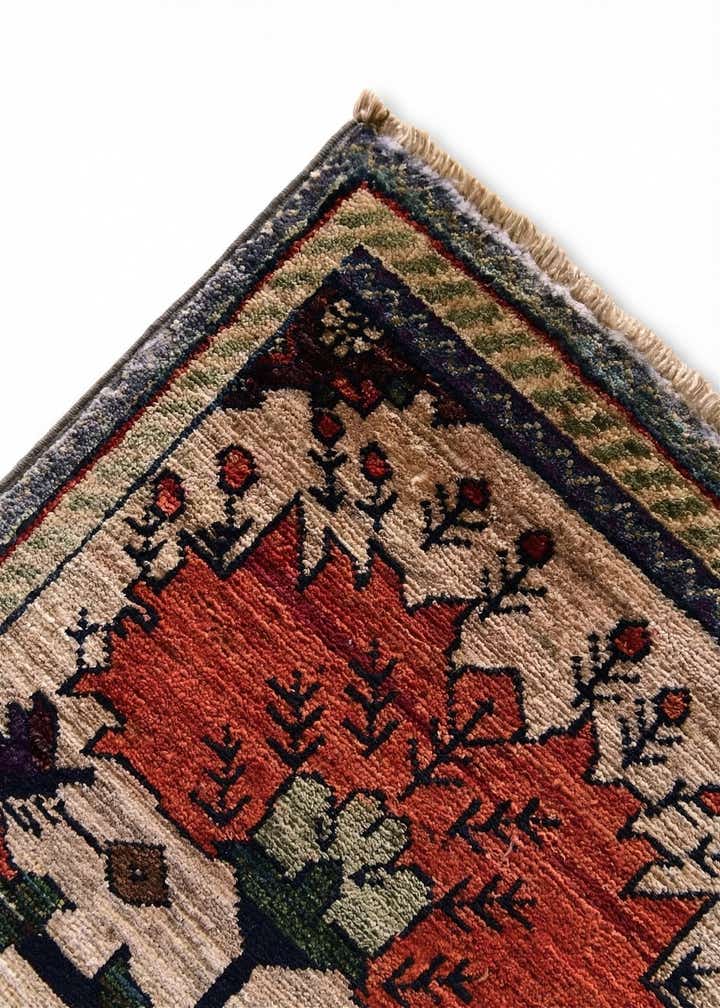 2' 8 x 4' Hand Knotted Ariana Ziegler Rug