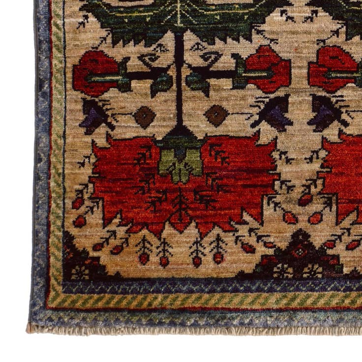 Detail image of 2' 8 x 4' Hand Knotted Ariana Ziegler Rug
