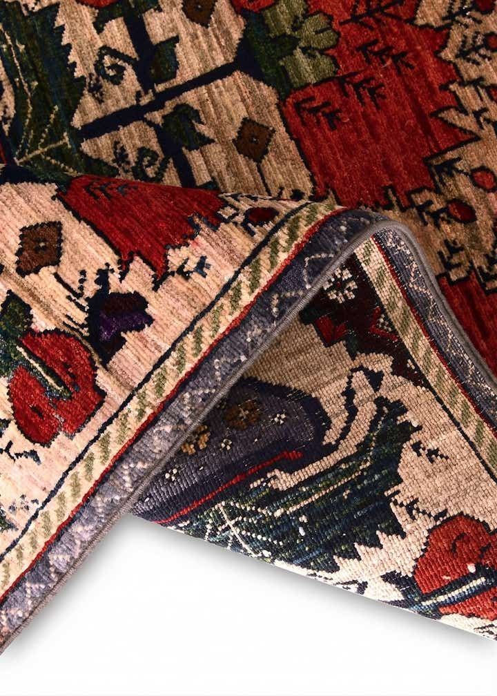 2' 8 x 4' Hand Knotted Ariana Ziegler Rug