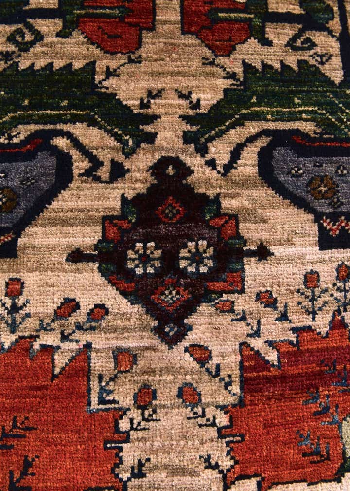 2' 8 x 4' Hand Knotted Ariana Ziegler Rug
