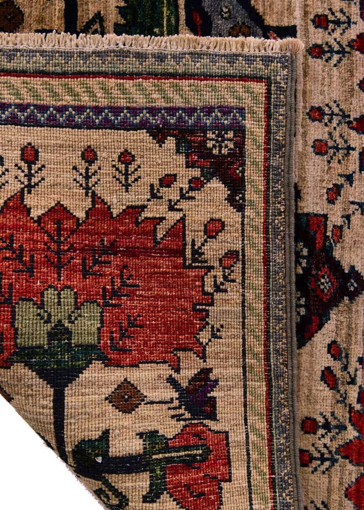 2' 8 x 4' Hand Knotted Ariana Ziegler Rug