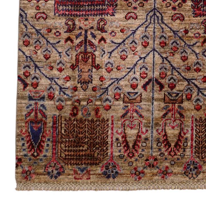 3' 4 x 5' Hand Knotted Ariana Ziegler Rug