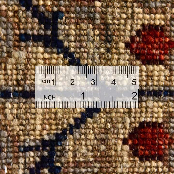 3' 4 x 5' Hand Knotted Ariana Ziegler Rug