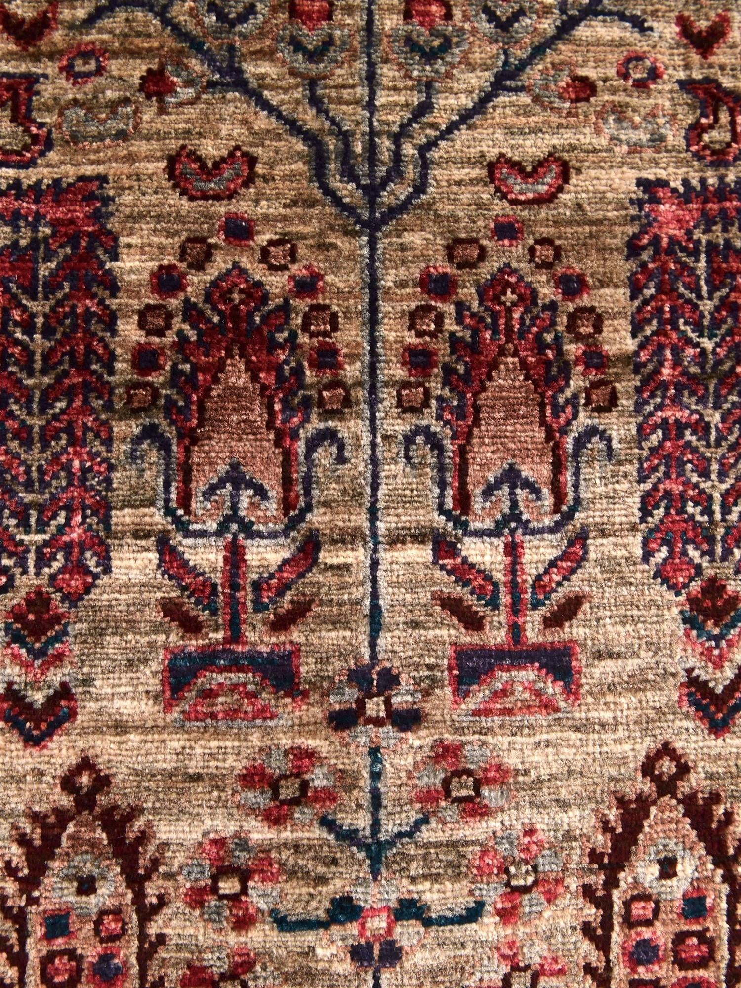 3' 4 x 5' Hand Knotted Ariana Ziegler Rug