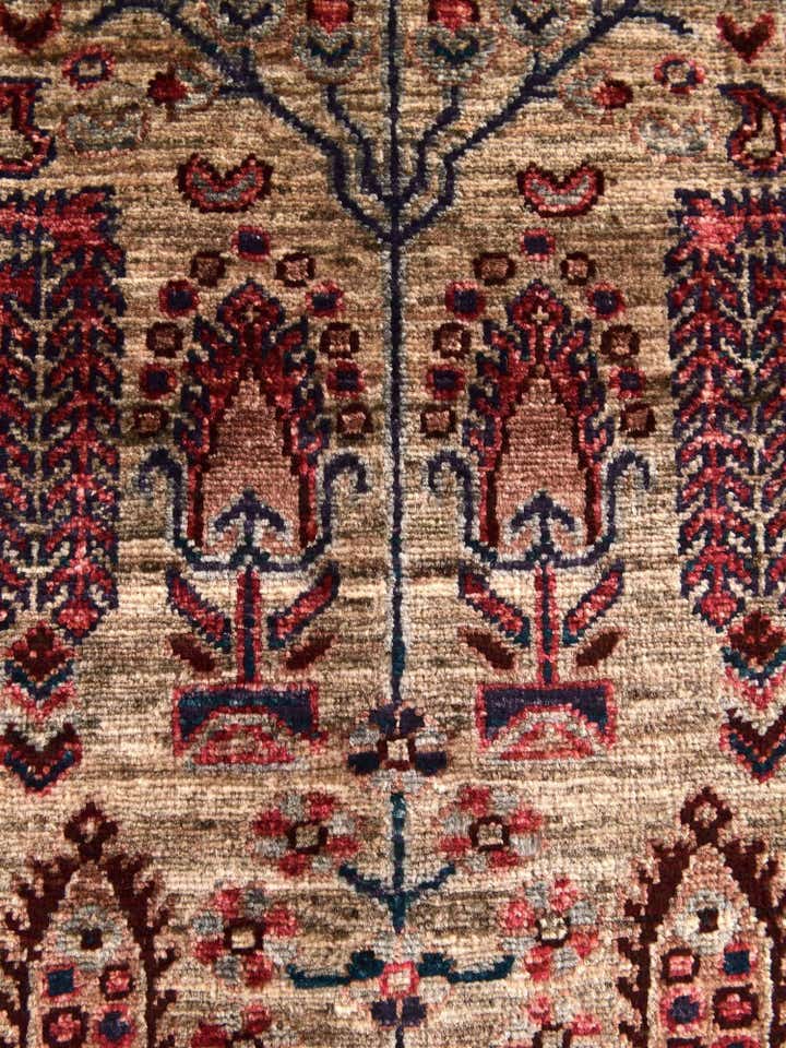 3' 4 x 5' Hand Knotted Ariana Ziegler Rug