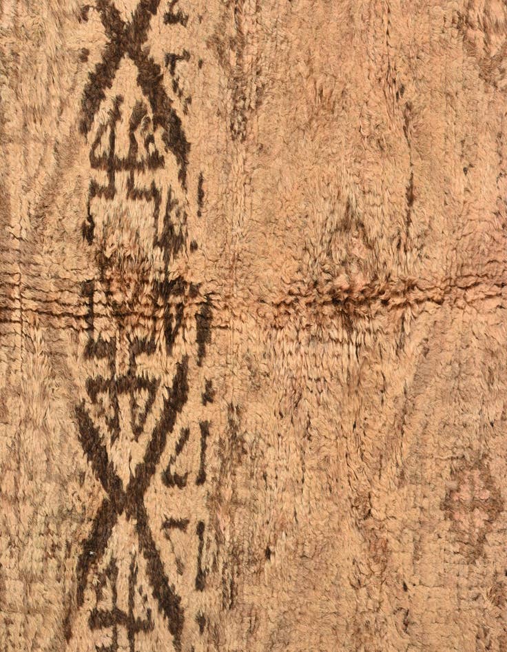 Detail image of 5' x 7' 5  Hand Knotted Balouch Persian Wool Rug