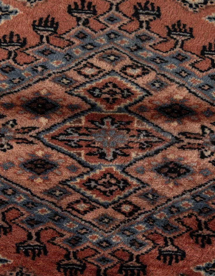Detail image of 3' 2 x 5' 4  Hand Knotted Bokhara Oriental Wool Rug