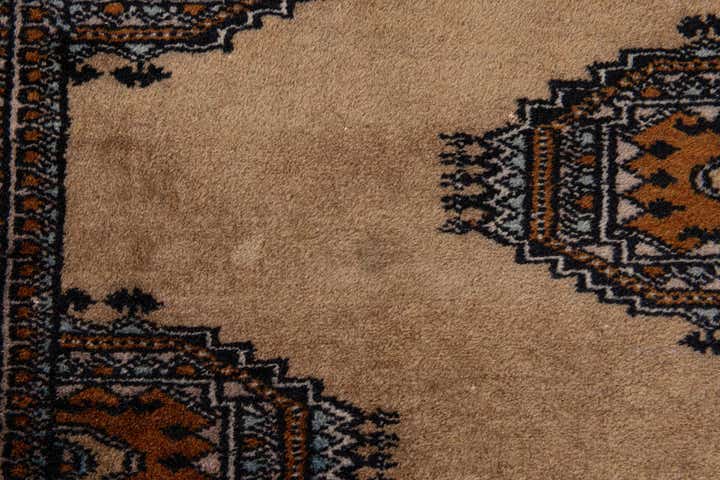 3' 9 x 5' 11 Hand Knotted Bokhara Oriental Wool Rug