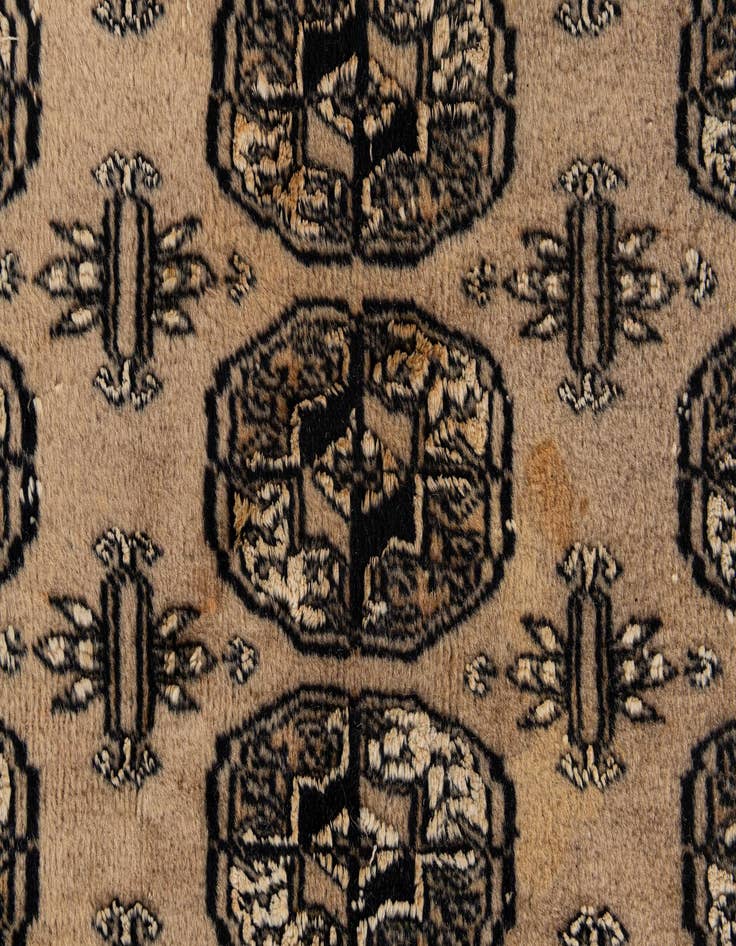 Detail image of 8' 3 x 11' 1  Hand Knotted Bokhara Oriental Rug