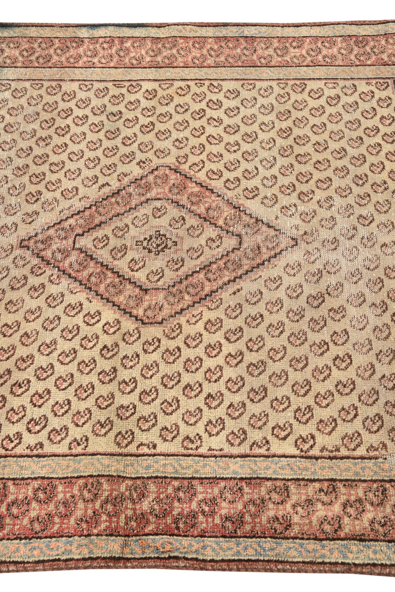 4' x 6' 5 Hand Knotted Botemir Persian Wool Rug