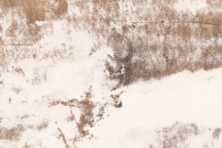 5' 11 x 6' 10 Cowhide Leather Rug