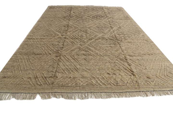 9' 3 x 12' 2 Hand Knotted Darya Wool Rug