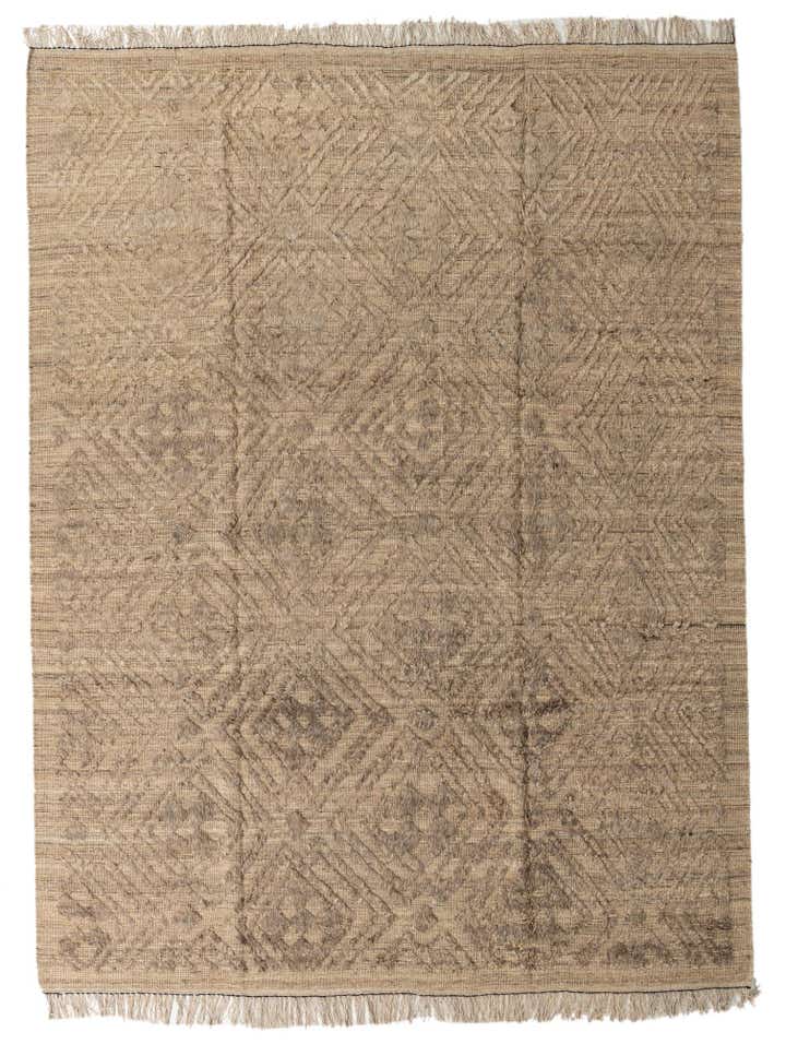 9' 3 x 12' 2 Hand Knotted Darya Wool Rug