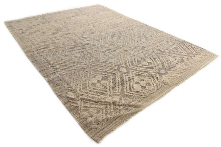 9' 1 x 12' 3 Hand Knotted Darya Wool Rug