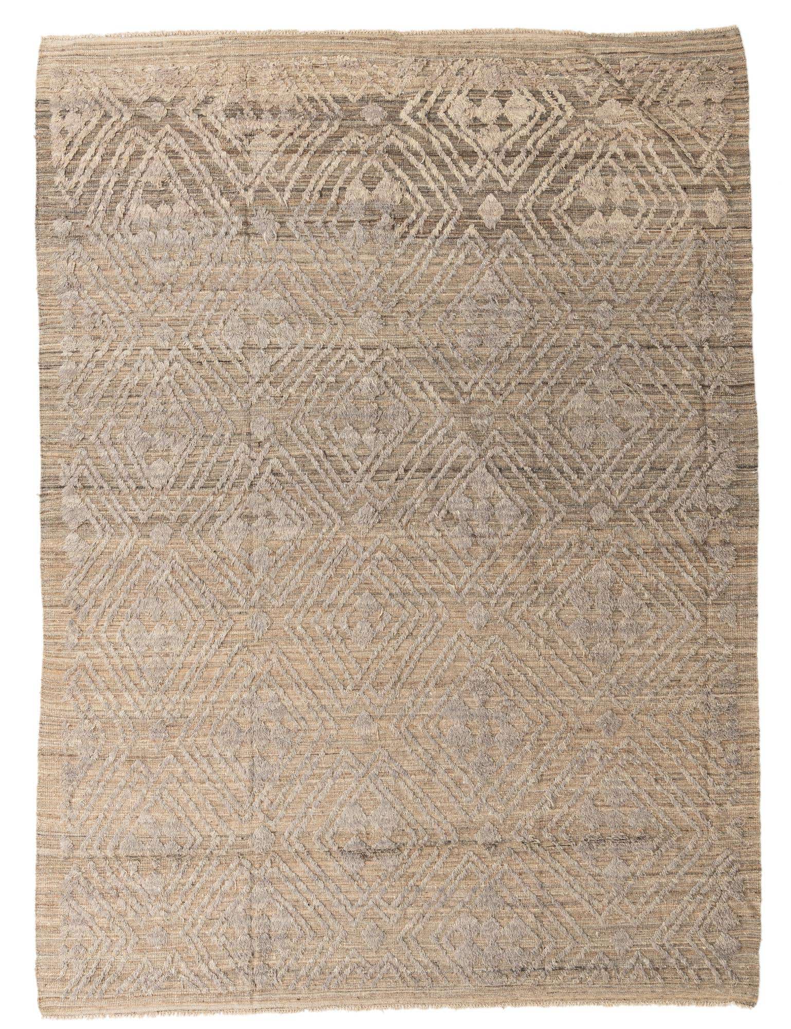 9' 1 x 12' 3 Hand Knotted Darya Wool Rug