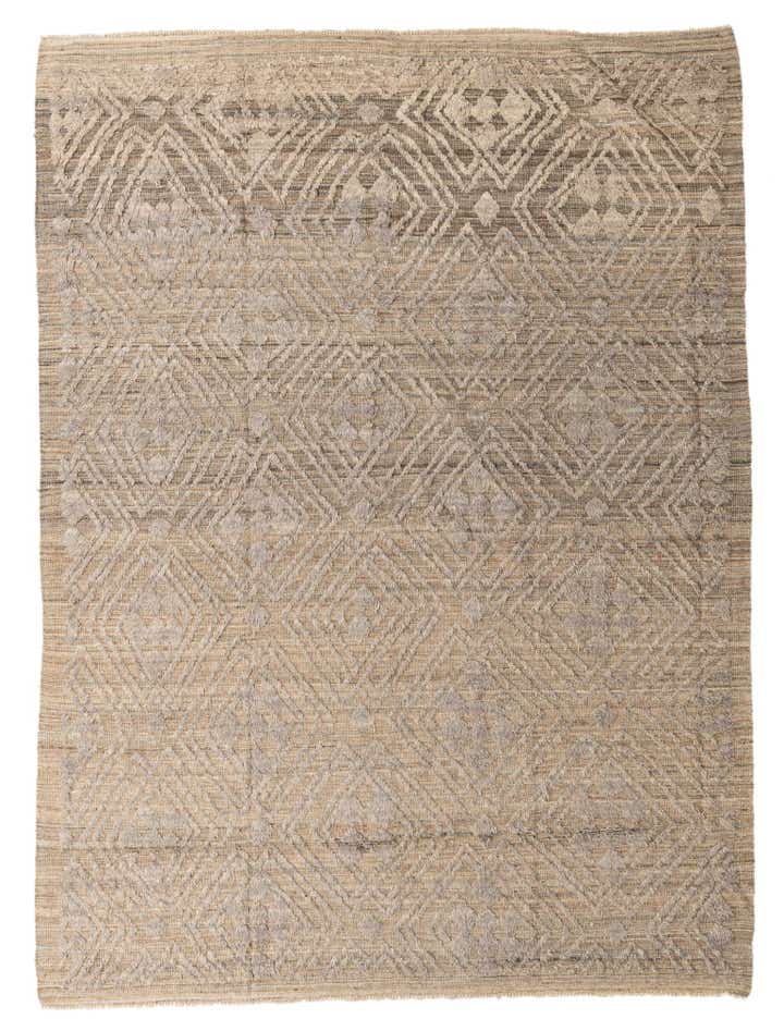 9' 1 x 12' 3 Hand Knotted Darya Wool Rug