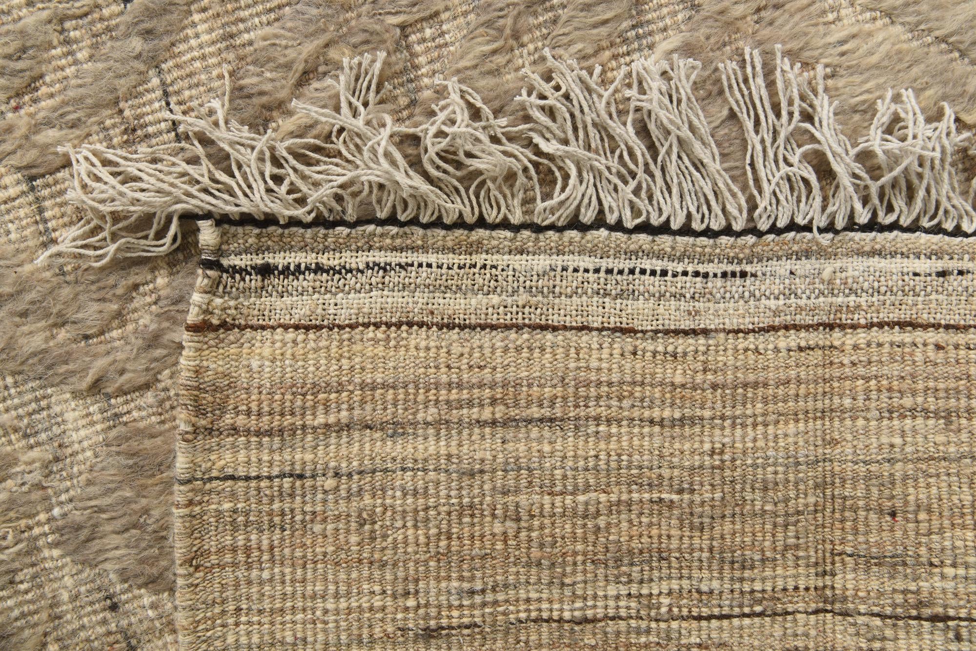 9' 3 x 12' 7 Hand Knotted Darya Wool Rug