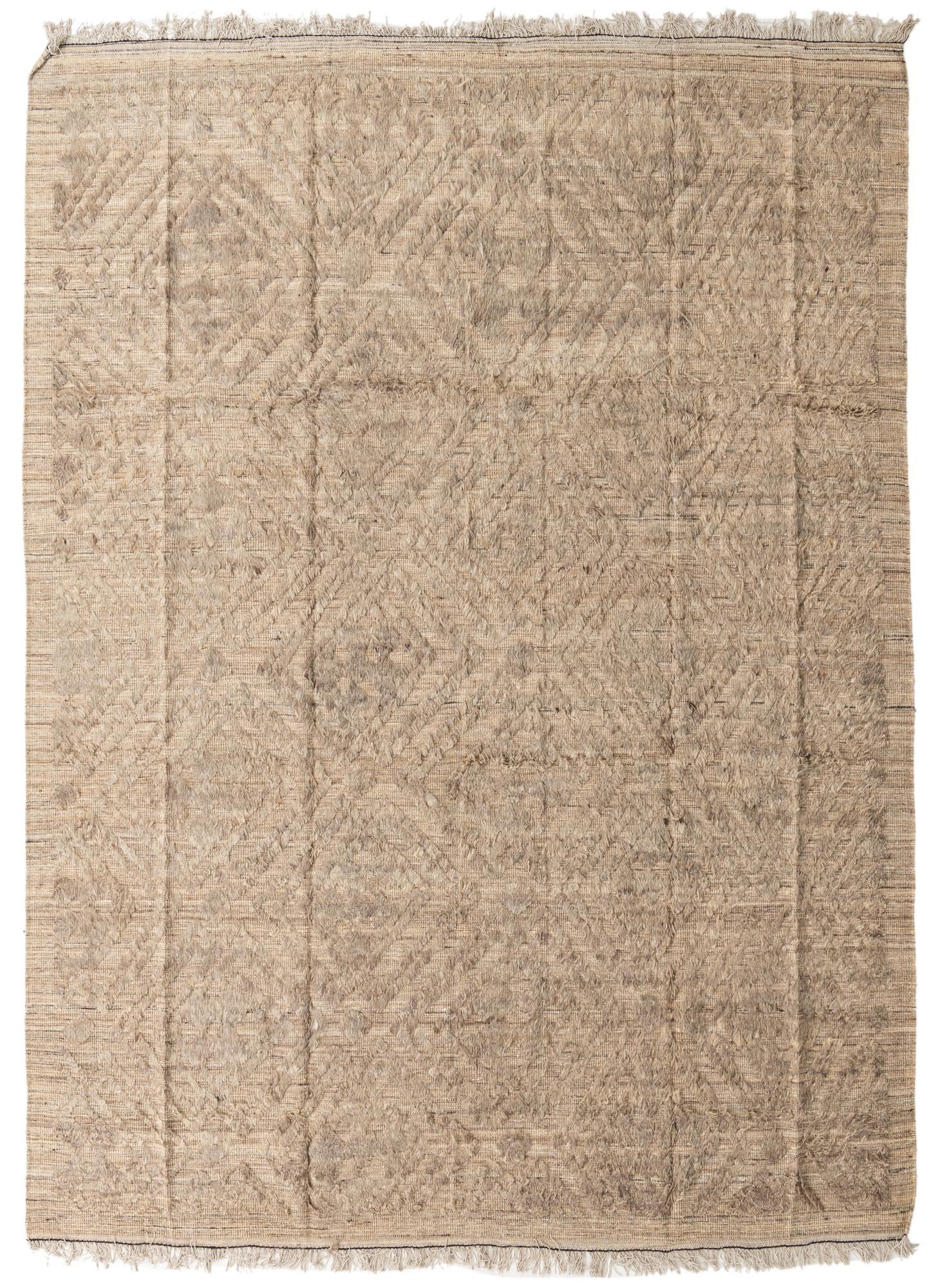 9' 3 x 12' 7 Hand Knotted Darya Wool Rug