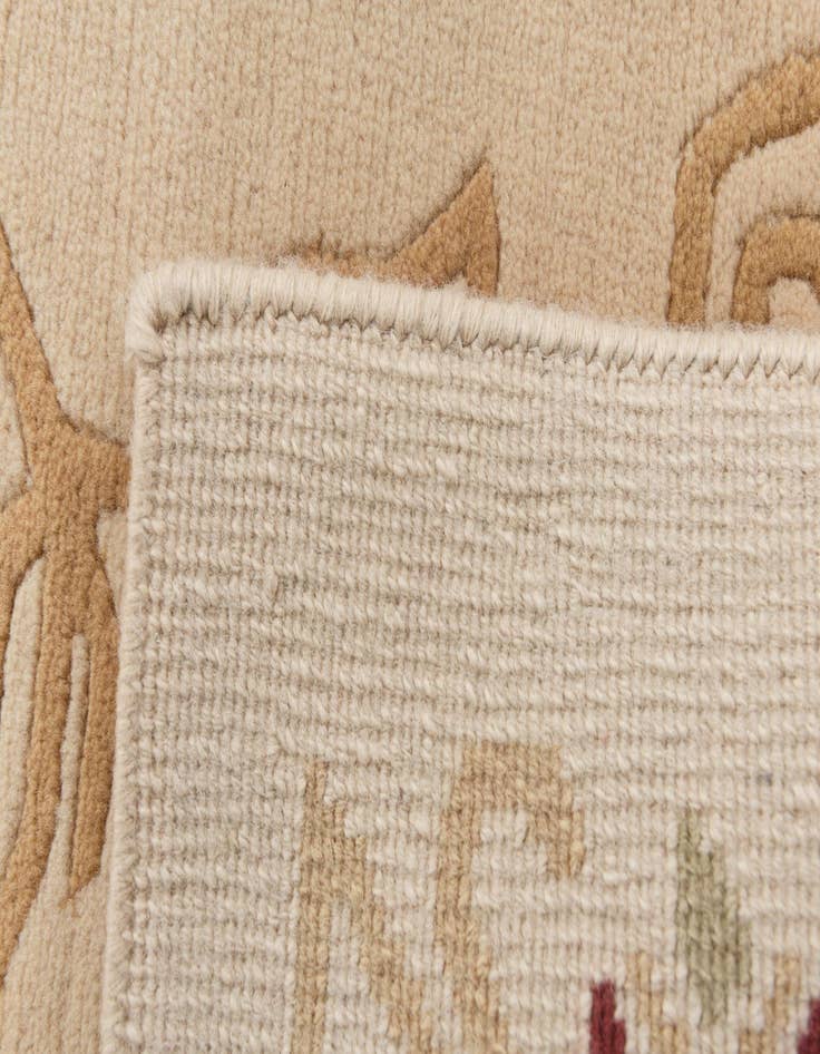 Detail image of 2' 9 x 4' 7  Hand Knotted Darya Wool Rug