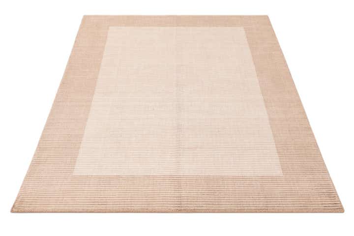 3' 11 x 5' 7 Hand Knotted Darya Wool Rug