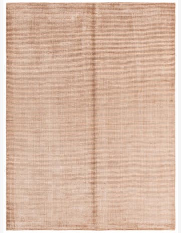 5' x 6' 8 Darya Rug