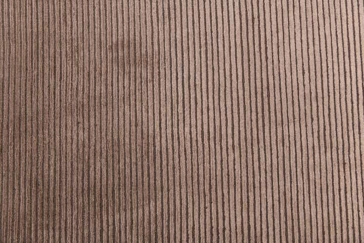 6' 6 x 9' 10 Hand Knotted Darya Wool Rug