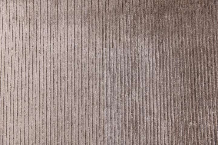 6' 7 x 9' 10 Hand Knotted Darya Wool Rug