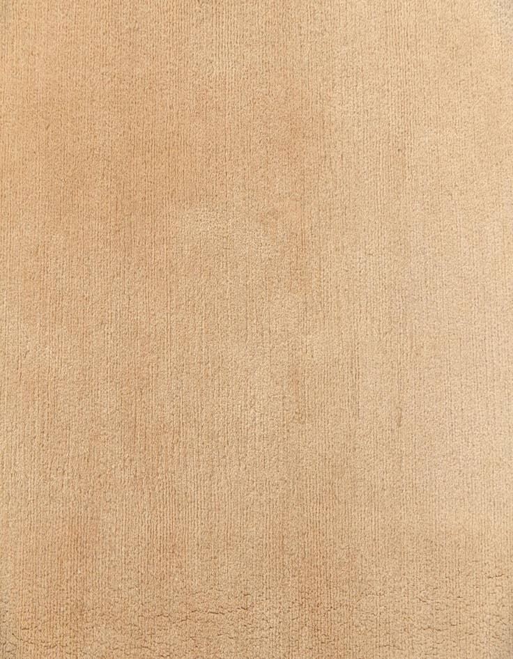 Detail image of 8' 2 x 11' 3  Hand Knotted Darya Rug