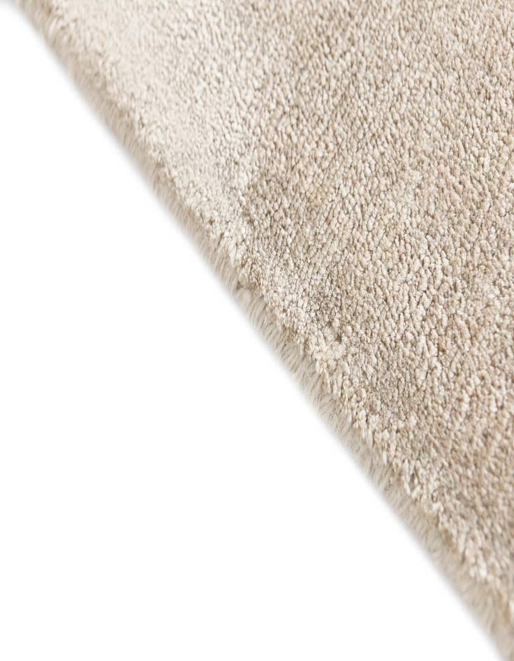 Detail image of 3' 11 x 5' 9 Darya Rug