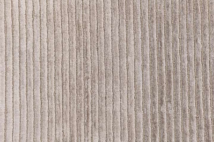 3' 11 x 6' Darya Rug