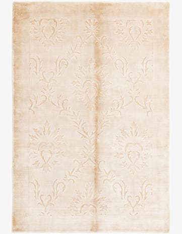 3' 11 x 5' 9 Darya Rug