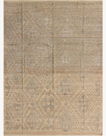 8' 10 x 12' 1 Hand Knotted Darya Wool Rug
