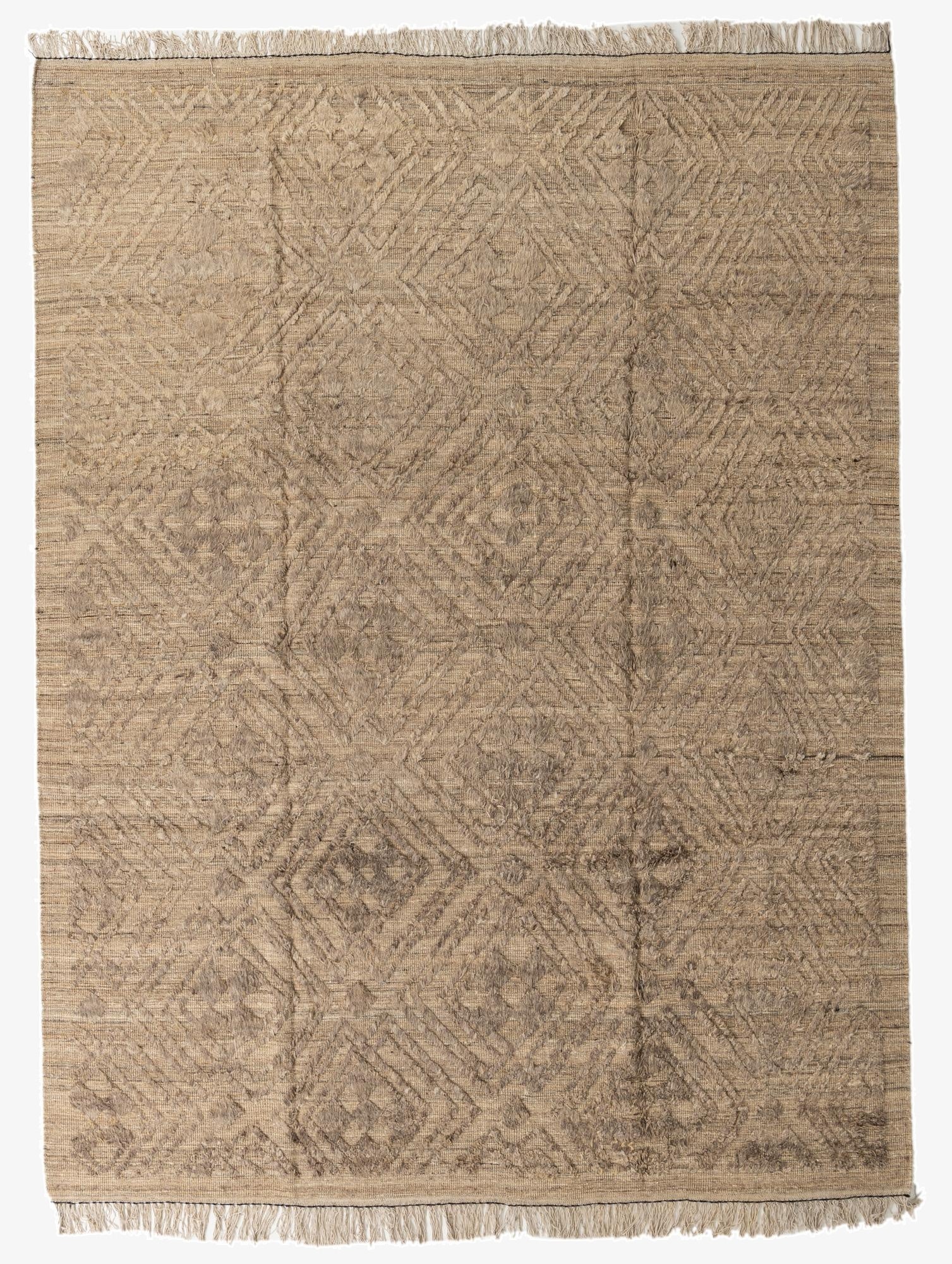 9' 3 x 12' 2  Hand Knotted Darya Wool Rug