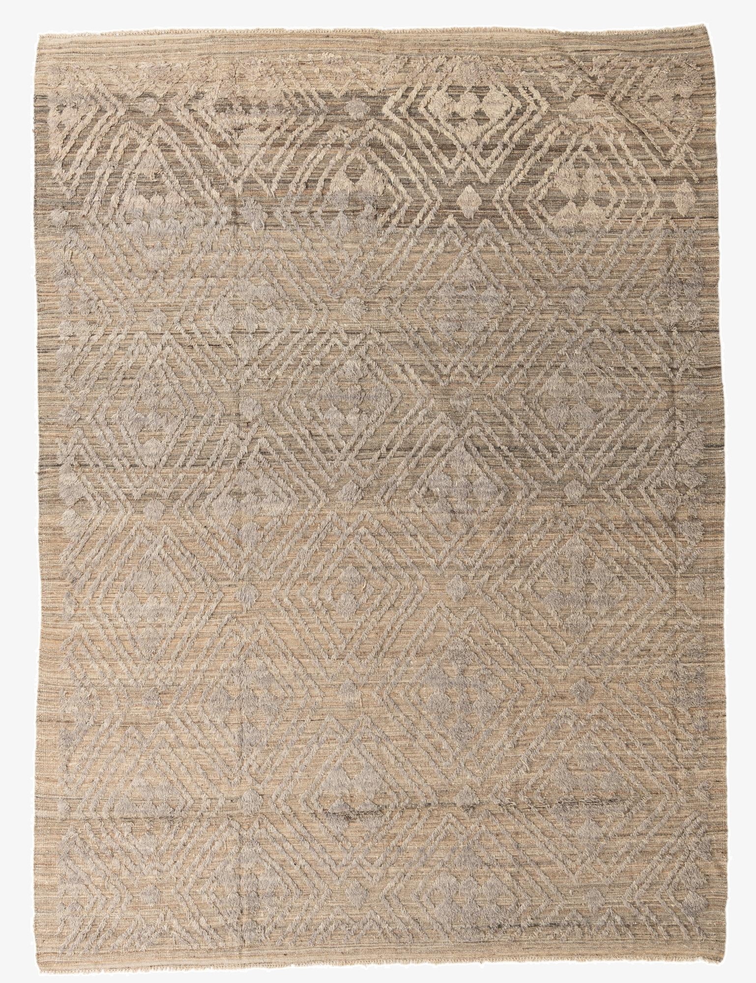 9' 1 x 12' 3  Hand Knotted Darya Wool Rug
